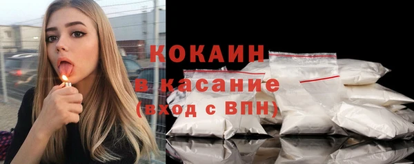 индика Горно-Алтайск