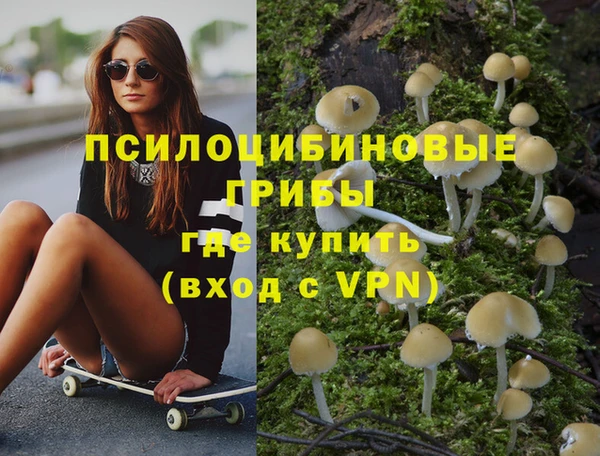 прущая мука Гусь-Хрустальный