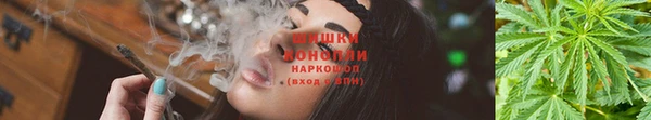 индика Горно-Алтайск