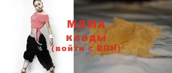 индика Горно-Алтайск