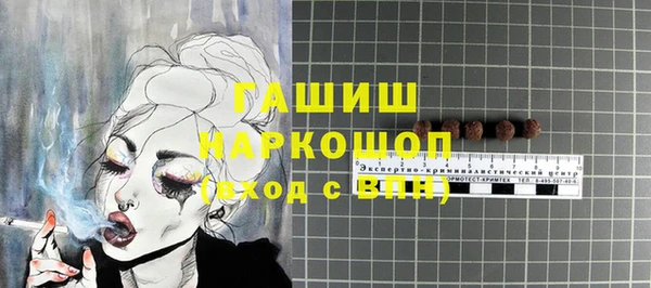 индика Горно-Алтайск