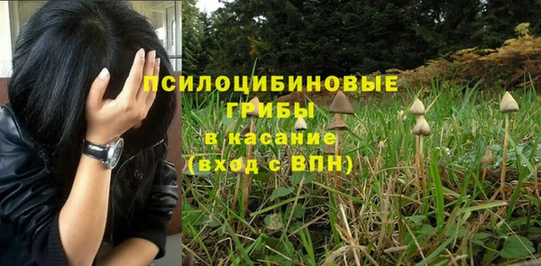 соль курить ск Гусиноозёрск
